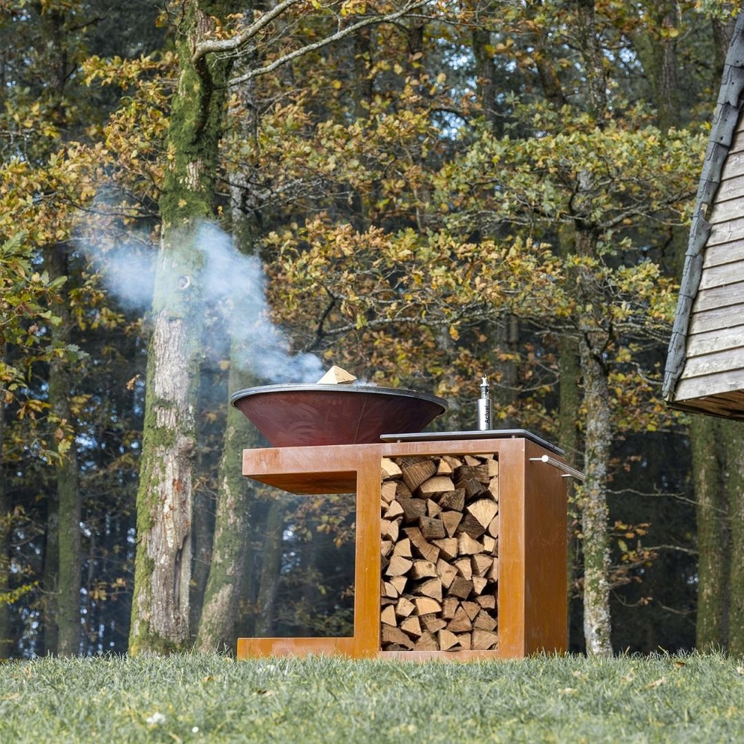 PLANCHA-BRASERO-BARBECUE : MODULEO AVEC RANGE BÛCHE