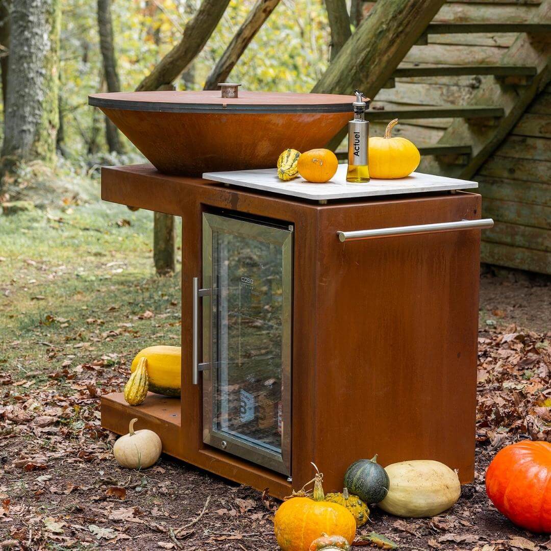 PLANCHA-BRASERO-BARBECUE : MODULEO AVEC FRIGO EXTÉRIEUR