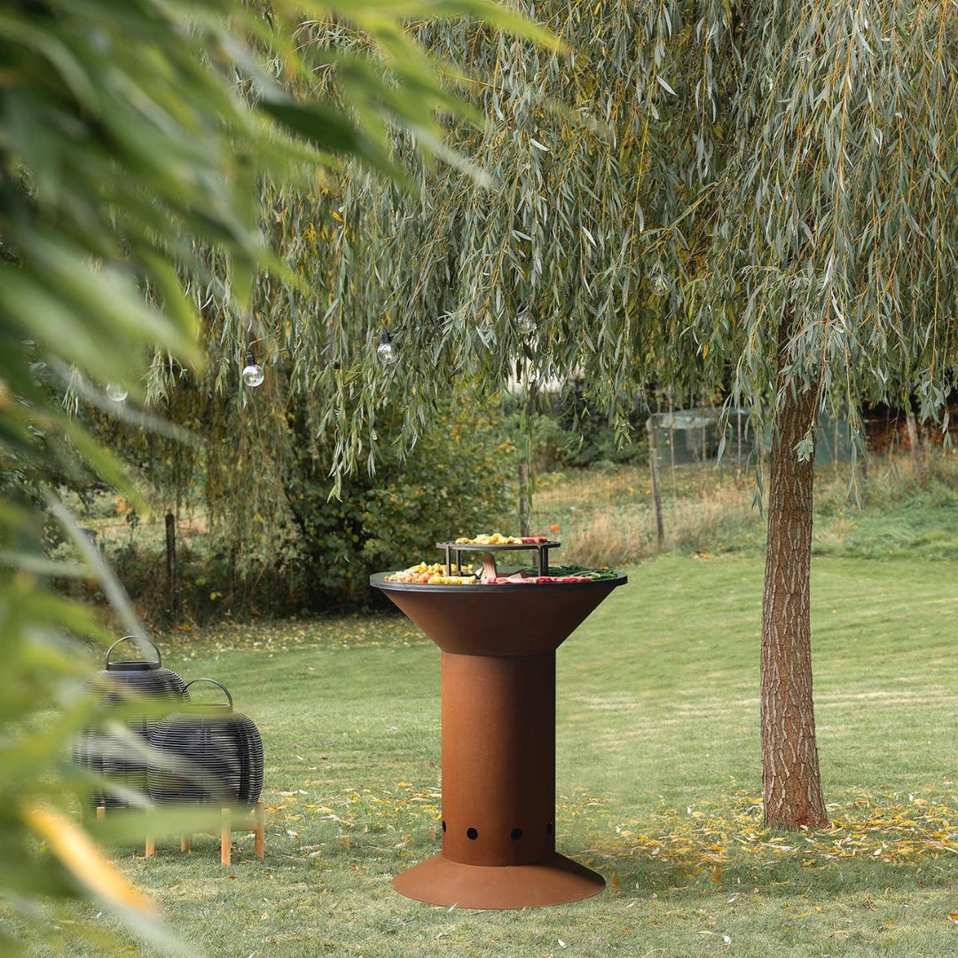 PLANCHA-BRASERO-BARBECUE : NOVEO 825mm