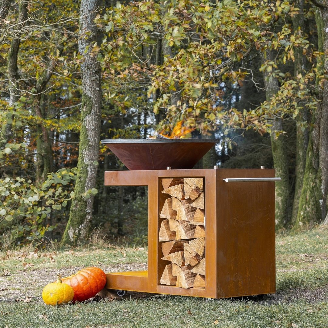 PLANCHA-BRASERO-BARBECUE : MODULEO AVEC RANGE BÛCHE